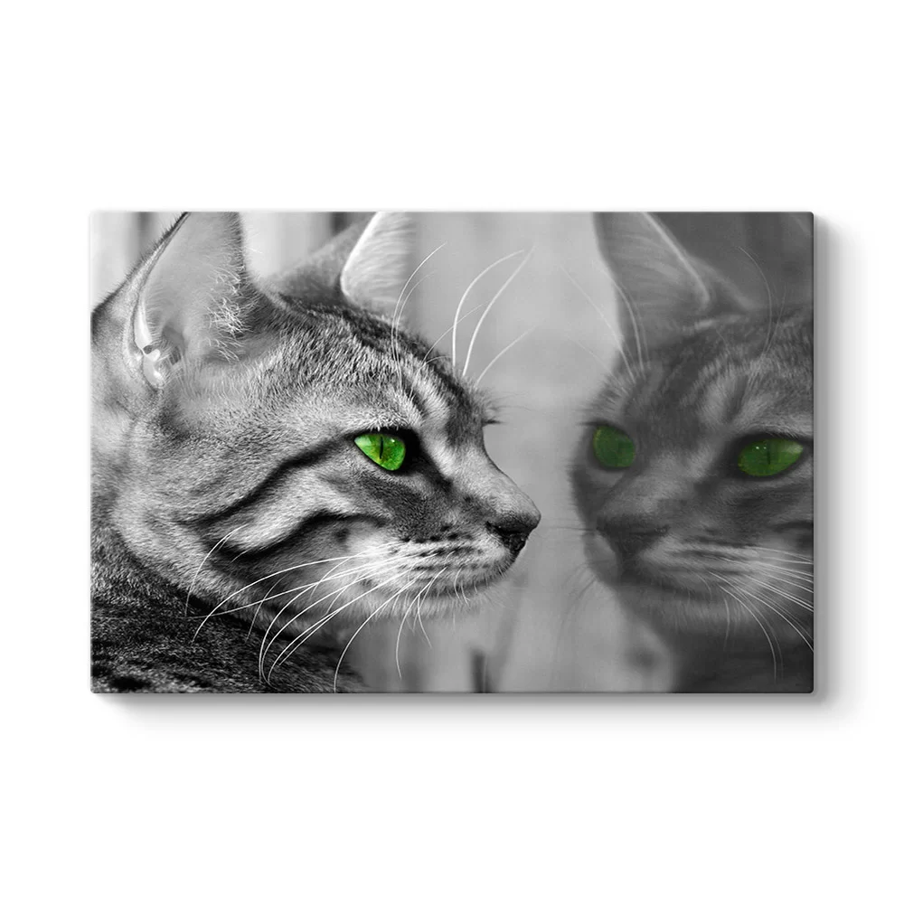 Yeşil Gözlü Kedi Tablosu - Model 1